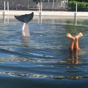 Meet your Posher, Aja